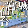 ずんだ茶寮 仙台空港店