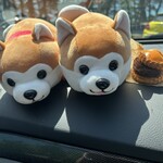 coffee&gallery zawa zawa - 