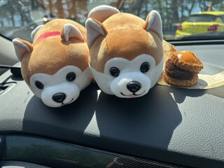 coffee&gallery zawa zawa - 