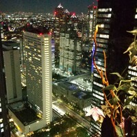 星空の中へ - 