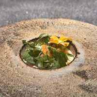 アニエルドール - 
