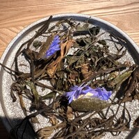 レスピラシオン - 