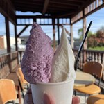 ジェラテリア PICCO - 