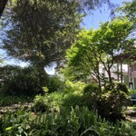 清水屋 - 店前②