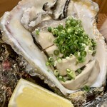 しんのすけ - 岩かき