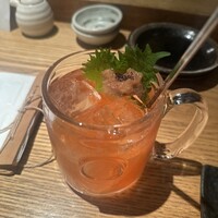 KOiBUMi - 