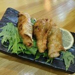 Magumarashi - 鶏皮ギョーザ