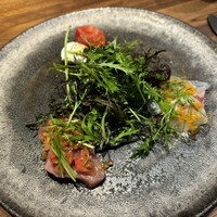 Selvaggio - 