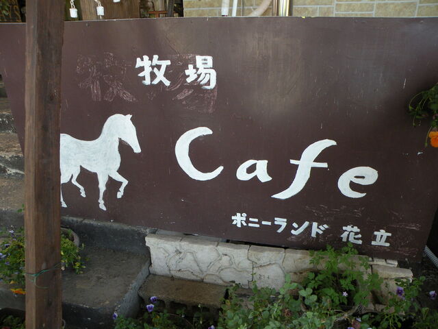 牧場Cafe（牧場カフェ） - 矢島（カフェ）
