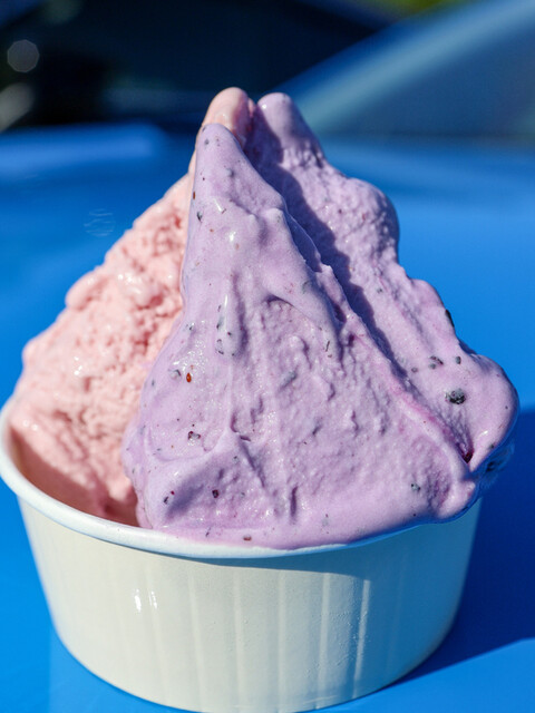 まきばのジャージー - 霊山町その他（ジェラート・アイスクリーム）の写真