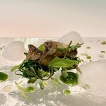 2024.5.  稚鮎のヴァリエーション