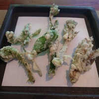 飛騨季節料理 肴 - 
