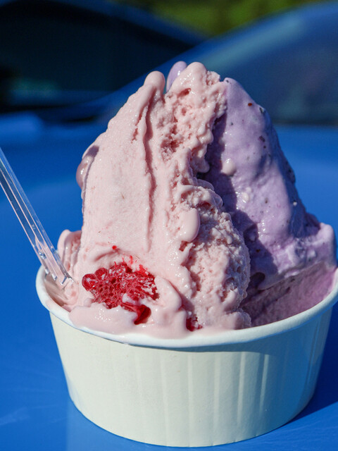 まきばのジャージー - 霊山町その他（ジェラート・アイスクリーム）の写真