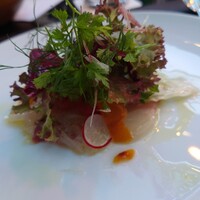 フィオレンティーナ - 