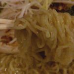 藤嶋家玉 - 全粒粉の麺アップ