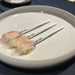 セルサルサーレ - 