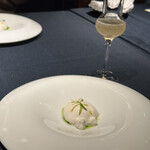 セルサルサーレ - 