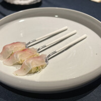 セルサルサーレ - 