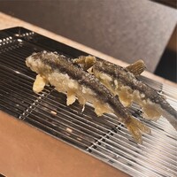 てんぷら 山の上 Roppongi 東京ミッドタウン店 - 