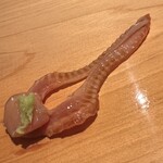 こま田 - 赤貝の紐