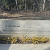 TSUSHIMI - 