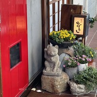 江戸心 山ぼうし - 