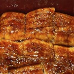 鰻 心艶 - うな重