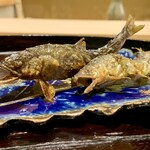 日本料理 研野 - 