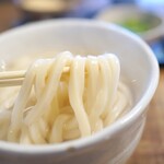 釜揚げうどん専門店もと - 割とふとめ