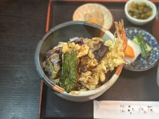 Edofuji - ミニ丼