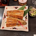 Unagi Ogawa - 