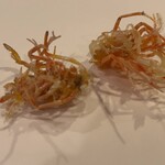 天ぷら 阿部 銀座本店 - 車海老の足