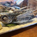 屋久島料理宿 鱗屋 - 料理写真: