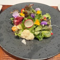 洋食 ヨコオ - 華やかなサラダで見た目も楽しめます(๑˃̵ᴗ˂̵)