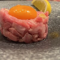 PONGA PREMIUM - 