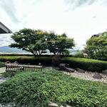 京料理 入舟 - 東山とお庭が見える個室「夕霧」