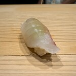 247347043 - アコウ(キジハタ)