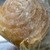 天然酵母のパン屋さん 白殻五粉 - 料理写真: