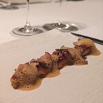 カンテサンス - ホワイトアスパラと蛍烏賊。フライパンのみの調理で、柔らかくも野菜の芯や旨味を堪能できる。ホタルイカの泡は軽やかでありつつ、磯の風味や旨味が口の中に広がる。ブリオッシュのパン粉がいい仕事。