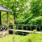 Zao樹のなか 採りたてやさいとチーズケーキ - 樹のなかをぬけるとお店があります