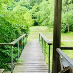 Zao樹のなか 採りたてやさいとチーズケーキ - 緑が眩しい！