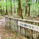 Zao樹のなか 採りたてやさいとチーズケーキ - ここから樹のなかへ進みます