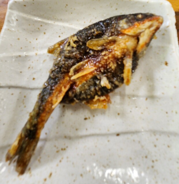 四季の里緑水苑 - 安子ケ島（その他）の写真