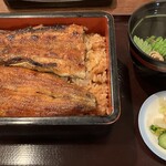 Unagi No Toyokawa - 