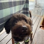 キッチンえみゅー - 