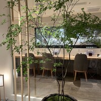 うなぎ四代目菊川 ミッドランドスクエア 名古屋本店 - 