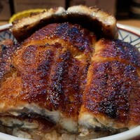 炭焼 うな富士 有楽町店 - 重なり合う鰻