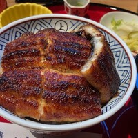 炭焼 うな富士 有楽町店 - どどーんと鰻が