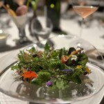 レフェルヴェソンス - 