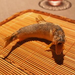 茶禅華 - 五粮液粮